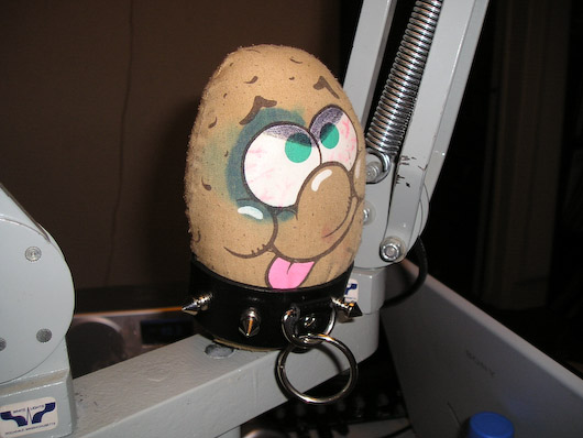 Bondage Potato